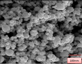 The Effect of Chitosan as an Antimicrobial Agent